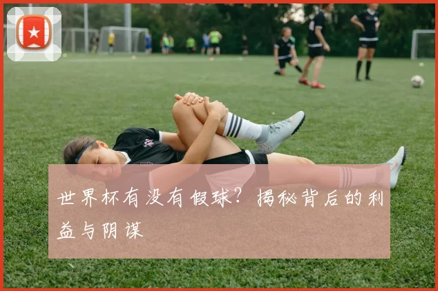 世界杯有没有假球？揭秘背后的利益与阴谋