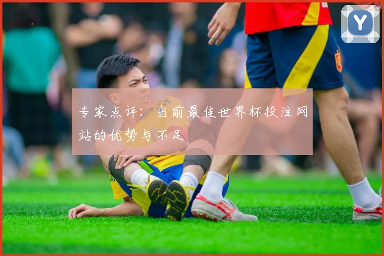 专家点评:当前最佳世界杯投注网站的优势与不足