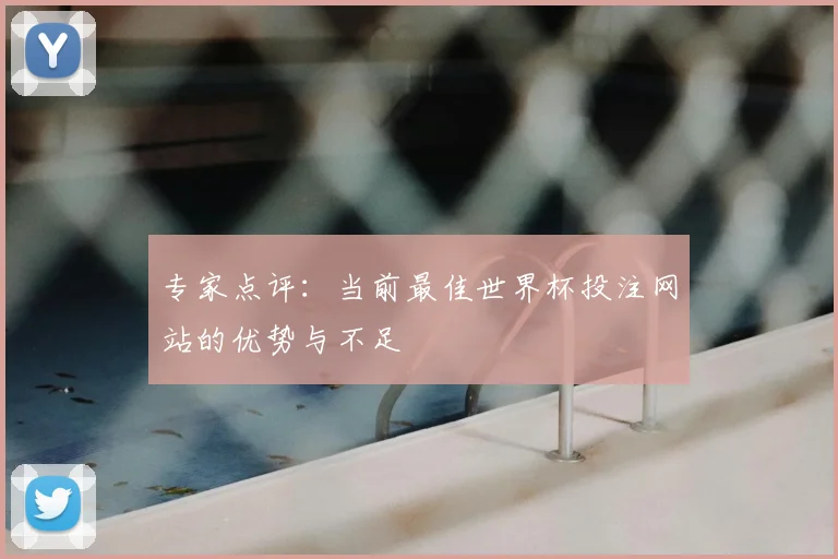 专家点评:当前最佳世界杯投注网站的优势与不足