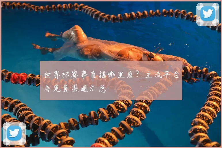 世界杯赛事直播哪里看?主流平台与免费渠道汇总