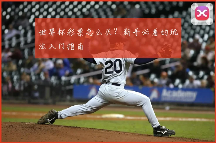 世界杯彩票怎么买?新手必看的玩法入门指南